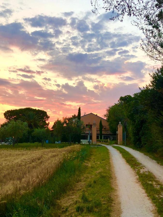 Fontebella Bed and Breakfast Montemarciano Eksteriør billede