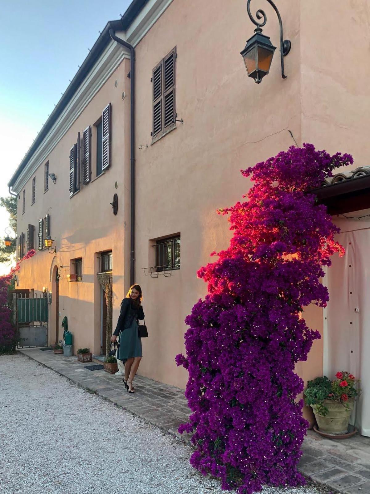 Fontebella Bed and Breakfast Montemarciano Eksteriør billede